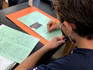 Ecosystem poster making